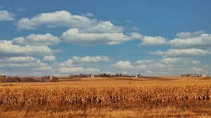 1,438,432 likes · 43,368 talking about this. Failure To Address Land Reform Is A Ticking Time Bomb Cosatu Sabc News News Chant South Africa