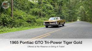 Image result for Tiger Gold 1965 GTO