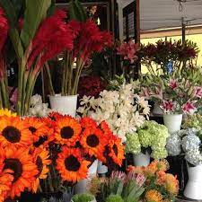 We are bloomers of la jolla and we are a real local florist in la jolla, ca. Hillcrest San Diego Apartments For Rent And Rentals Walk Score