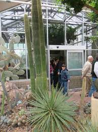 Cacti are collectible and are ideal for nice, sunny windowsills as are many of their succulent counterparts. Cactus Picture Of Frederik Meijer Gardens Sculpture Park Grand Rapids Tripadvisor