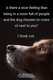 One Of The Best Feelings Dog Quotes Pets Dogs