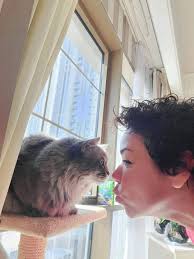 Lola enjoying some well deserved English sun