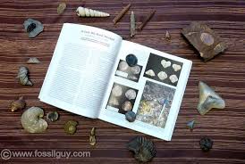 Have you captured a ghost on film? A Review Of 101 Fossil Sites You Ve Gotta See A Great Updated Fossil Collecting Book