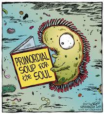 Speed Bump By Dave Coverly February 16 2013 Via Gocomics Biology Humor Science Humor Science Jokes