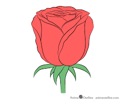 This video is part of the pencil sketch drawing, drawing tutorial for beginners, and how to draw in easy steps for learning the rose flower. How To Draw A Rose Step By Step Animeoutline