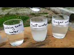 salt water experiment youtube
