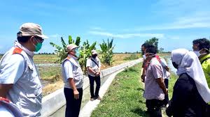 Namun, saat ini sudah dinyatakan sembuh dan tidak ada lagi kasus baru. Lokasi P3tgai Desa Kreyo Kecamatan Klangenan Kabupaten Cirebon Dikunjungi Kepala Bbws Cimanuk Cisanggarung
