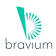 Bravium Consulting