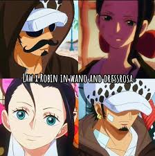 One Piece Law Meets Robin