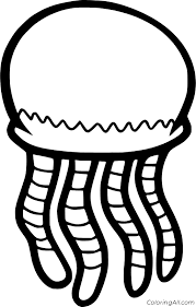 Jellyfish coloring pages to print. Jellyfish Coloring Pages Coloringall