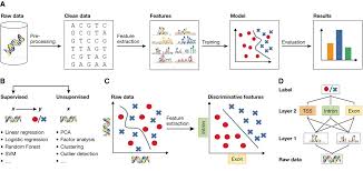 Image result for machine learning