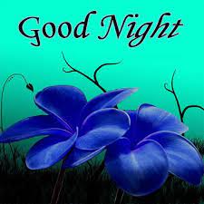 Good Night Flowers Images Pictures And Wallpapers Gud Nite Flower Good Night Love Images Good Night Flowers Good Night Wallpaper