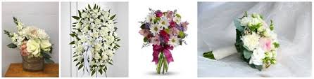 Flowers are a way to commemorate life's most significant celebrations. 8 Picks For Best Flower Delivery In Clarksville Tn 2021
