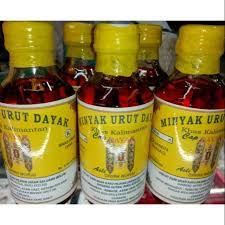 Kelapa yang sudah tua dilubangi lantas lintah dimasukkan ke dalamnya, kemudian dibiarkan beberapa hari hingga lintahnya mati dan hancur di dalam kelapa. Minyam Urut Minyak Gosok Obat Rematik Obat Asam Urat Minyak Urut Dayak Minyak Kalimantan Shopee Indonesia