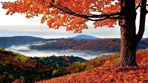 Amazing Fall Season 1920x1080 Autumn Landscape Autumn Wallpaper Hd New England Fall Foliage