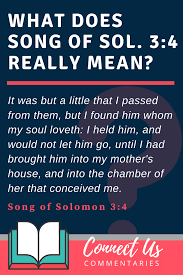 As a piece of a pomegranate are thy temples behind thy veil. Meaning Of I Have Found The One My Soul Loves Solomon 3 4 Kjv Connectus