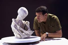 Image result for Tridactyle virginea