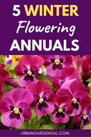 We did not find results for: Pin On Flower Garden Ideas