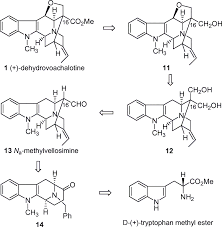 Image result for Voacanga chalotiana