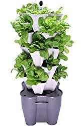 The tower garden™ | dr. The Best Aeroponics Tower Garden Systems For Home