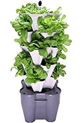 Maybe you would like to learn more about one of these? What Is Vertical Hydroponics For The Home And How Does It Work