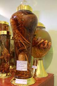 Thiên sơn tuyết liên tưởng chừng chỉ là một sản phẩm kết tinh từ những câu chuyện thần thoại, kiếm hiệp trong trí tưởng tượng của con người; RÆ°á»£u Hoa Thien SÆ¡n Tuyáº¿t Lien Thien Tuyáº¿t Lien SÆ¡n