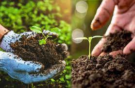 Organic Farming Workshop