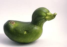 Read page 2 of the what to do with a 6 lb zucchini? What To Do With Extra Zucchini Delishably