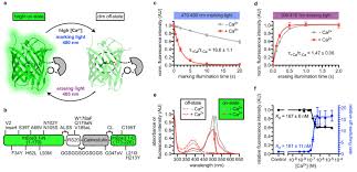 In our example of image, the signal is a function of its position. Erasable Labeling Of Neuronal Activity Using A Reversible Calcium Marker Elife