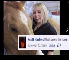 The best memes from instagram, facebook, vine, and twitter about horse teeth meme. The Best Horse Teeth Memes Memedroid