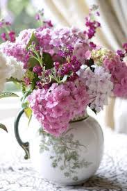 Pin On Flowers And Nature
