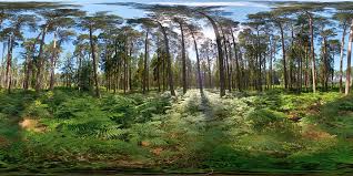100% free high quality hdris for everyone. Baltic Forest 20k Hdri Map