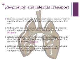 At first i thought i had strained a muscle b/c i gradually moves back into place. Fanespokemoncorazonoroyplata Have You Got Muscles Outside Rib Cage Have You Dropped Your Ribs Yet Movewell At First I Thought I Had Strained A Muscle B C I Gradually Moves Back Into Place