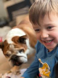 Hello, Does anyone know any loving dog boarding services in a home setting  (not kennels). We are hoping to go away later this year but need to find a  loving family for