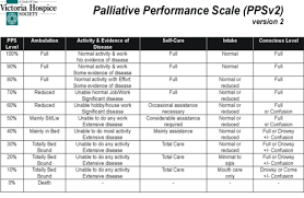 The Palliative Performance Scale