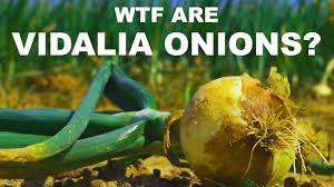 What makes a vidalia onion? Why Are Sweet Onions Sweet Can You Really Eat Vidalia Onions Like Apples Youtube