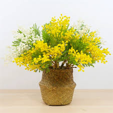 We did not find results for: 37cm 6pcs Artificial Tree Branch Tropical Plants Plastic Persian Leaves Fake Mimosa Flocking Acacia For Home Wedding Desk Decor Artificial Plants Aliexpress
