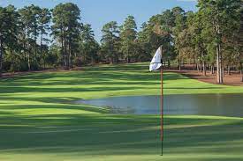 Bluejack National Tgr Design