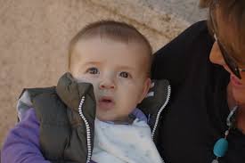 Fernando Meneses Fuentes