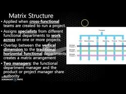 Organisation Structure Culture Of Nike