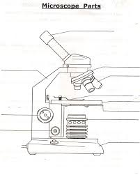 Test yourself with these general knowledge trivia questions and answers for 2020. Gandi Billy Sub Vant Cell Microscope Images Quizez Modernpapi Com