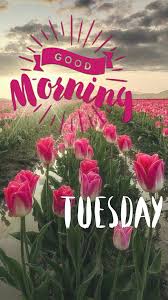 Maybe you would like to learn more about one of these? 837 Tuesday Good Morning Images Happy Tuesday Morning
