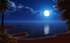 We've gathered more than 5 million images uploaded by our users and sorted them by the most popular ones. Moon Hd Wallpapers Wallpaper Cave