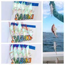 1 Pc Sabiki 5 Rainbow Fur Hair Rigs Baits Fishing Hook Lures Catch Mackerel Bass Ebay Rainbow Fur Bait And Tackle Fishing Lures