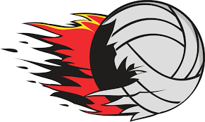 Image result for Volleyball.