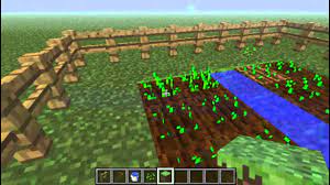 En este sentido, la temperatura ideal se sitúa entre los 20 y los 30ºc, de modo que si. Tutorial Minecraft Como Plantar Youtube