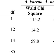 Image result for Agelanthus gracilis