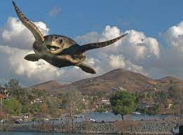 When Turtles Fly Turtle Adventures In Wonderland Animals