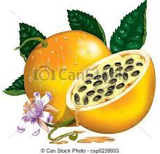 Drawings Of Passion Fruit High Resolution Image Made By Photoshop And Csp0239933 Search Clipart Illus Fruits Drawing Fruit Illustration Passion Fruit