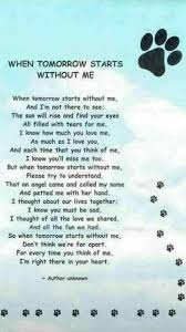 Rest In Pup Heaven My Sweet Roman Dog Poems Pet Loss Grief Dog Quotes